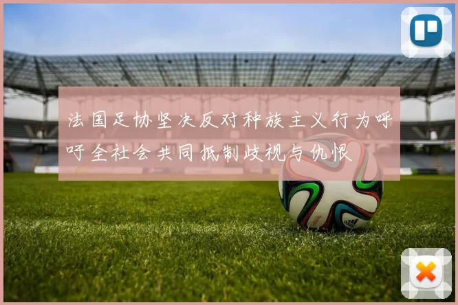 法国足协坚决反对种族主义行为呼吁全社会共同抵制歧视与仇恨